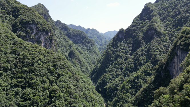 航拍大自然深山山谷湖北神农架神农谷