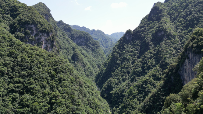 航拍大自然深山山谷湖北神农架神农谷