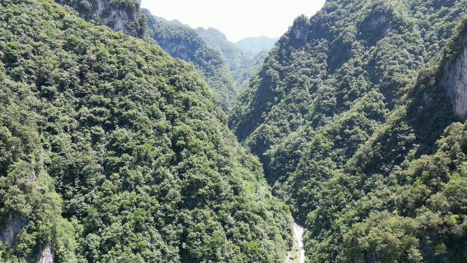 航拍大自然深山山谷湖北神农架神农谷