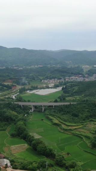 航拍山川丘陵农业种植竖屏