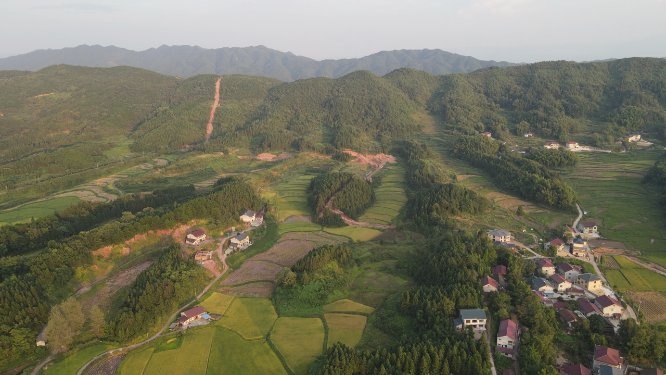 航拍山川金黄稻田农业种植 