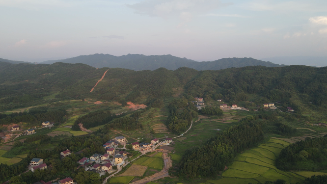 航拍山川金黄稻田农业种植 