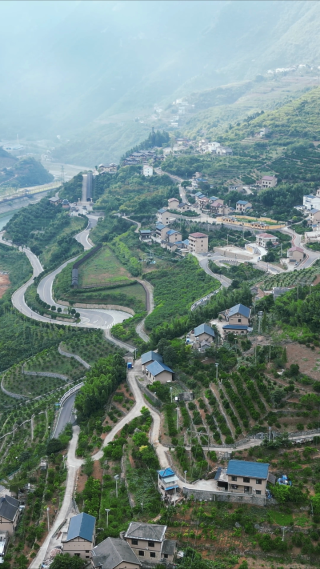航拍山谷公路桥梁交通竖屏