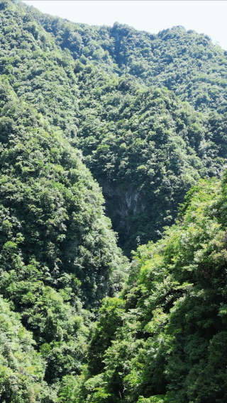 航拍巍峨大山森林山谷自然风景