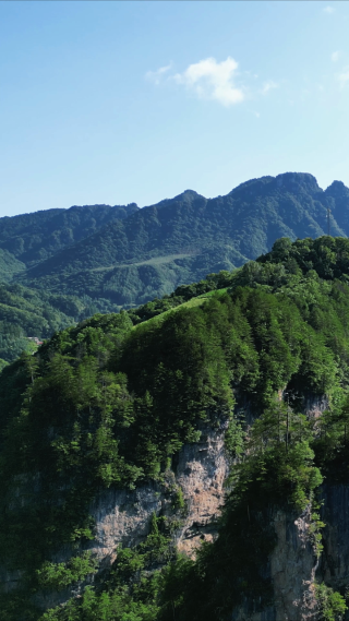 航拍悬崖峭壁山崖上的树枝
