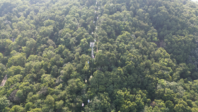 航拍武汉东湖珞珈山5A景区