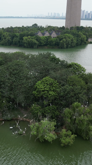 航拍江西九江八里湖风光