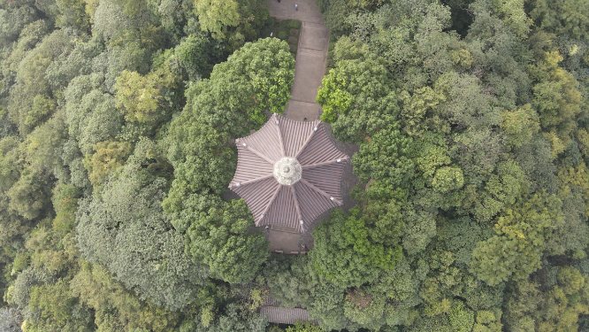 航拍浙江绍兴稽山公园