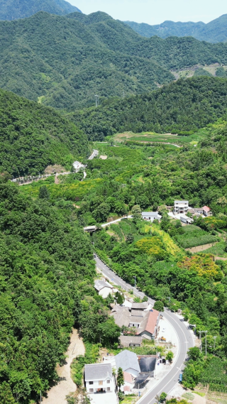 航拍湖北十堰野人谷景区