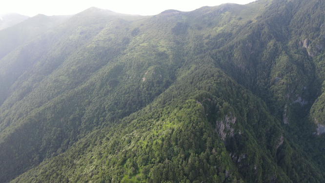 航拍湖北神农架5A景区