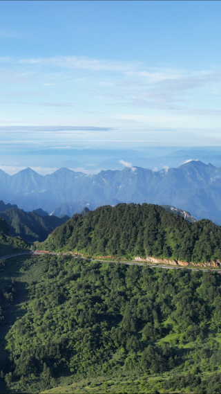 航拍湖北神农架原始森林