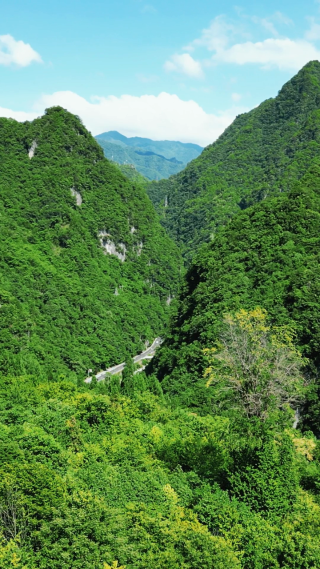 航拍湖北神农架大山峡谷交通公路