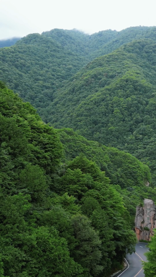 航拍湖北神农架大山峡谷交通公路