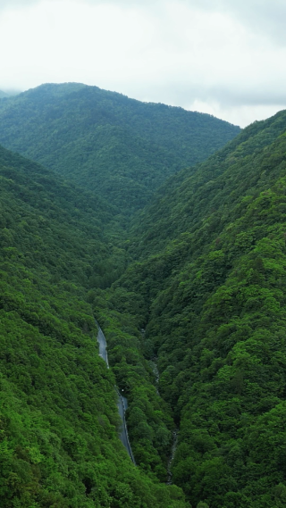 航拍湖北神农架大山峡谷交通公路