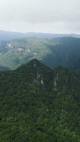 航拍湖北神农架天燕景区4A景区  