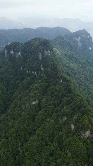 航拍湖北神农架天燕景区4A景区  