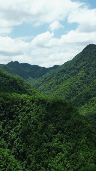 航拍湖北神农架巴桃园景区4A景区