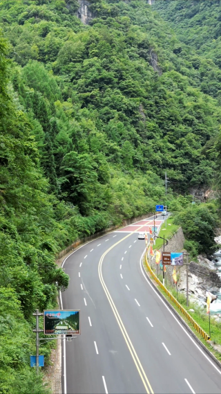 航拍湖北神农架景区大山森林 