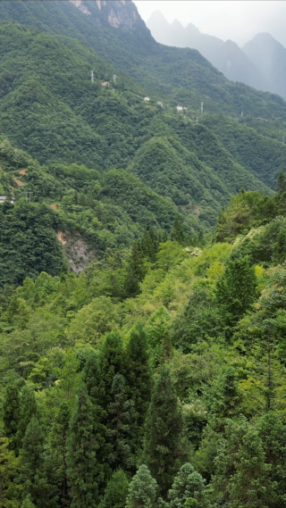 航拍湖北神农架景区大山森林 