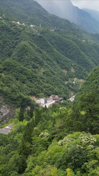 航拍湖北神农架景区大山森林 