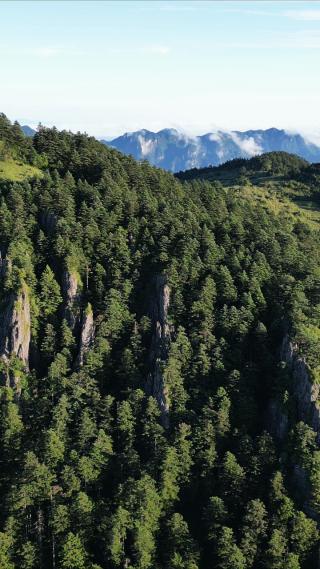 航拍湖北神农架景区大山森林 