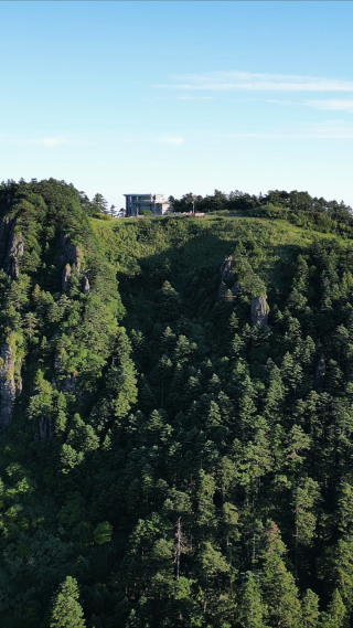 航拍湖北神农架景区大山森林 