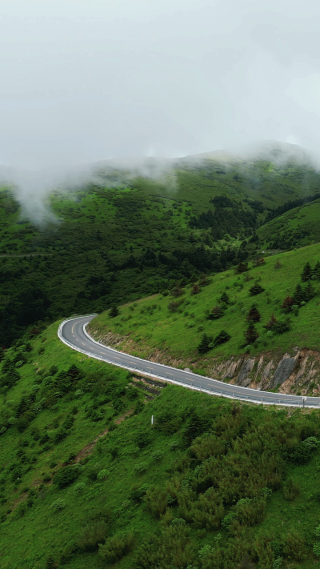 航拍湖北神农架景区盘山公路