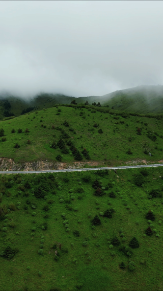 航拍湖北神农架景区盘山公路