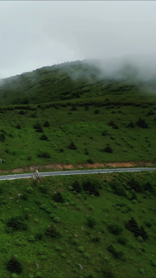 航拍湖北神农架景区盘山公路