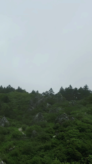 航拍湖北神农架景区高山森林自然风光