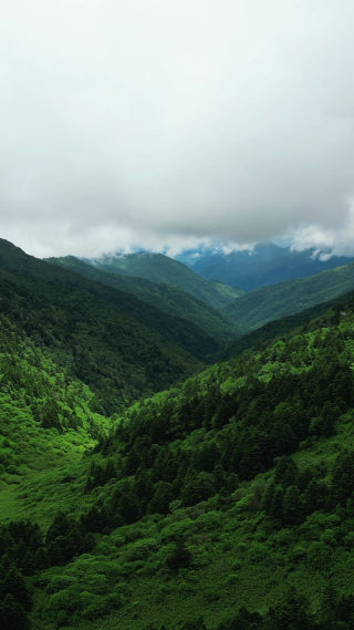 航拍湖北神农架景区高山森林自然风光