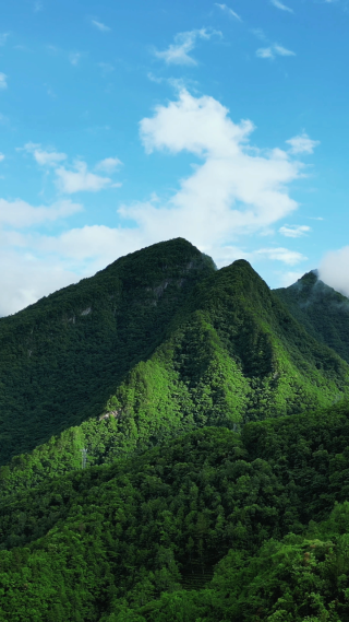 航拍湖北神农架景区高山森林自然风光