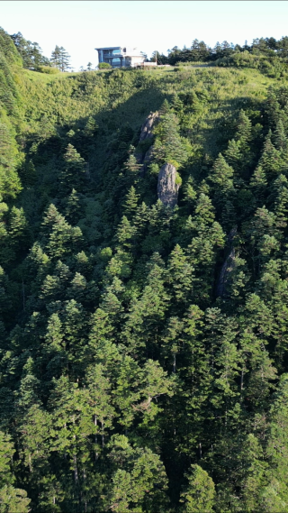 航拍湖北神农架景区高山森林自然风光
