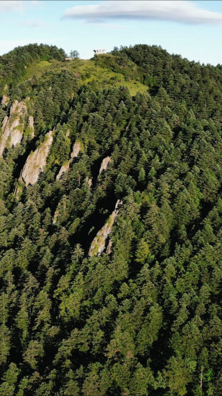 航拍湖北神农架景区高山森林自然风光