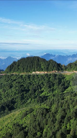 航拍湖北神农架景区高山森林自然风光