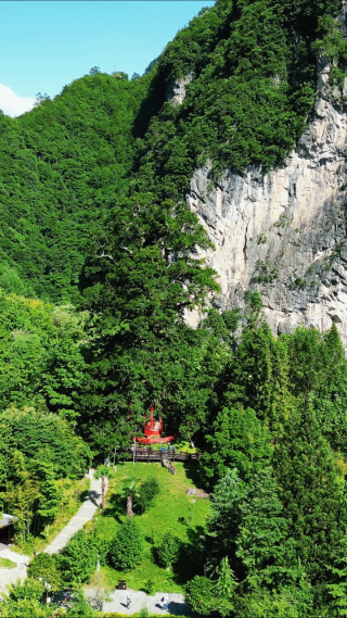 航拍湖北神农架神农坛景区千年杉王