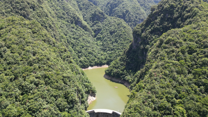 航拍湖北神农架野人谷4A景区
