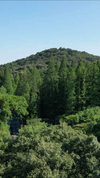 航拍湖北襄阳古隆中景区