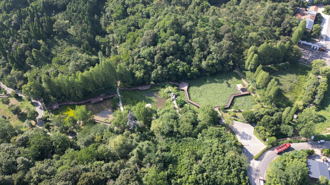 航拍湖北襄阳植物园植物