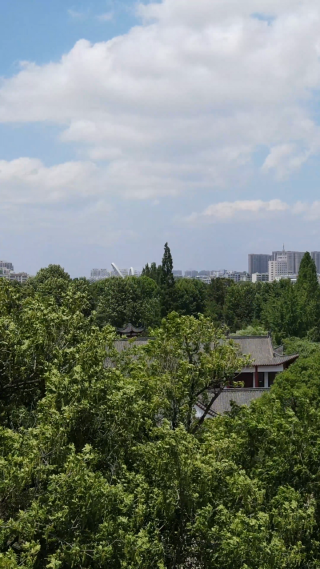 航拍湖北随州白云公园
