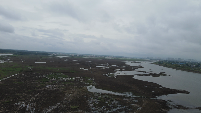 航拍湖南岳阳汨罗市国家湿地公园