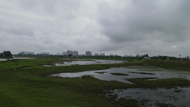 航拍湖南岳阳汨罗市国家湿地公园