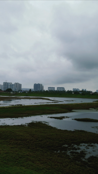 航拍湖南岳阳汨罗江国家湿地公园