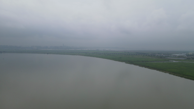 航拍湖南岳阳洞庭湖芦苇荡