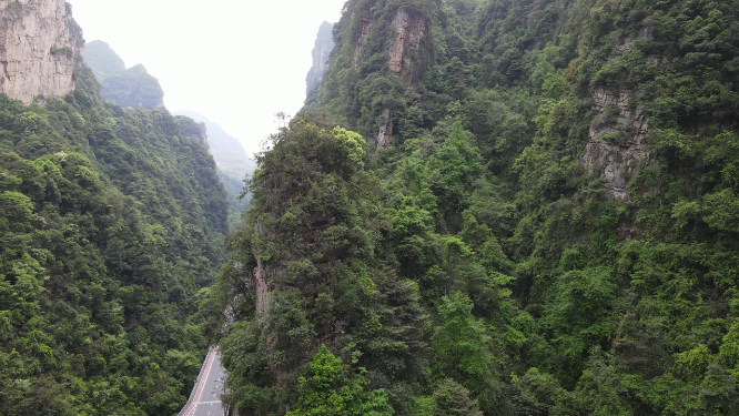 航拍湖南张家界武陵源奇山