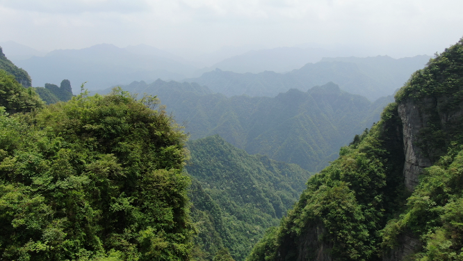 航拍湖南张家界武陵源奇山