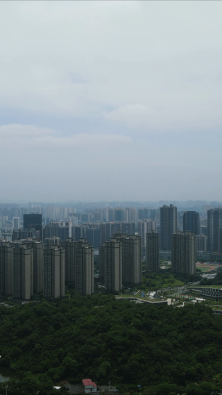 航拍湖南株洲城市风光竖屏
