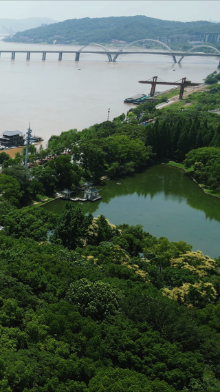 航拍湖南株洲神农公园竖屏