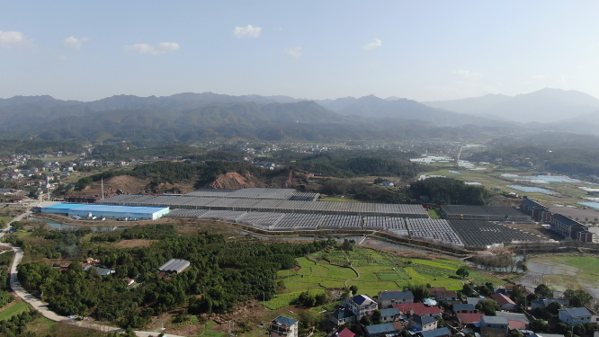 航拍现代农业大棚种植基地