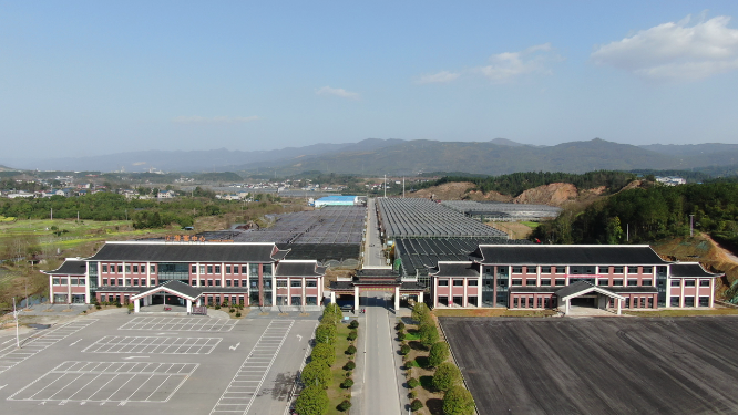 航拍现代农业大棚种植基地